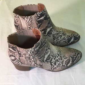 Snakeskin ankle booties